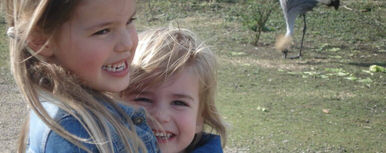 Familiepark en hotel Avifauna