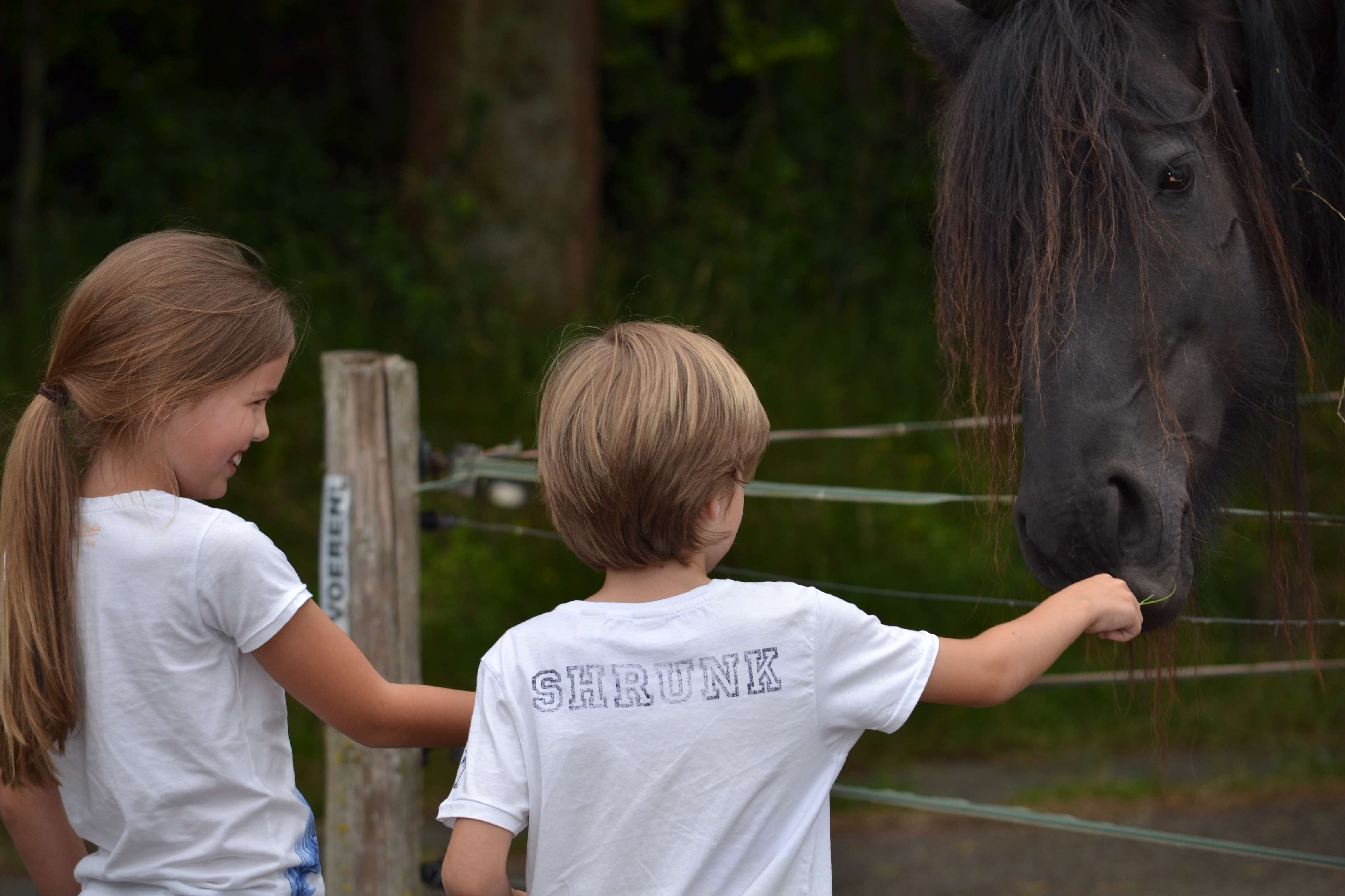 Binnenin Weekendje weg met Kids