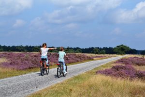 Weekendje weg met Kids Park hoge Veluwe