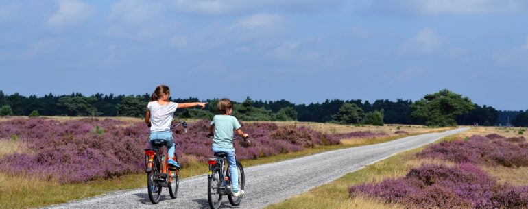 Weekendje weg met Kids Park hoge Veluwe