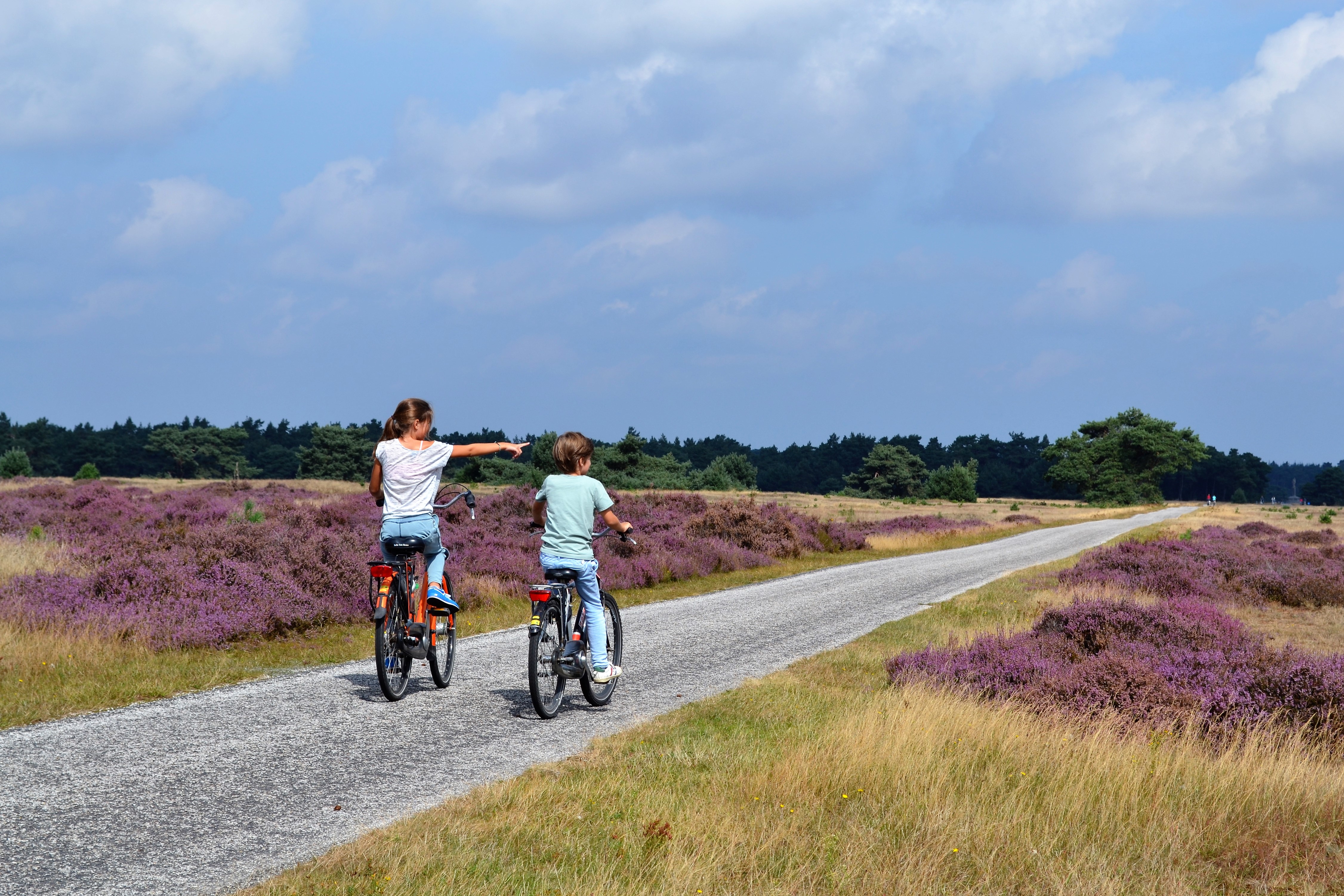 Weekendje weg met Kids Park hoge Veluwe