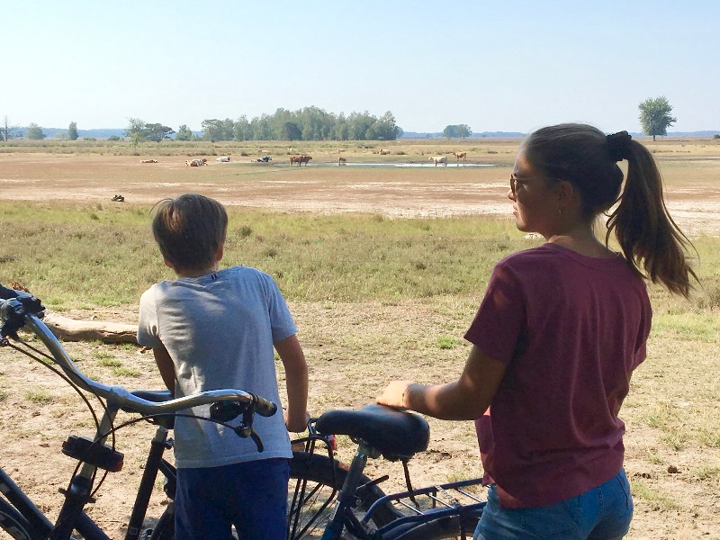 Nationaal Park Dwingelderveld