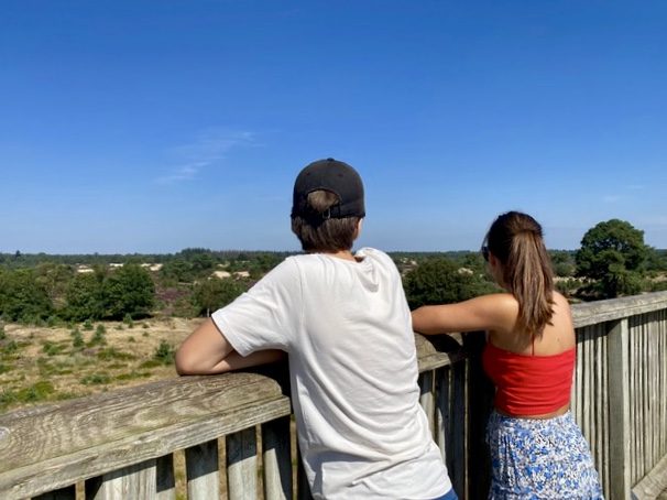 Nationaal Park Drents-Friese Wold