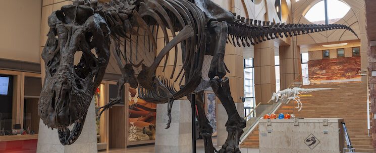 Naturalis Biodiversity Center.